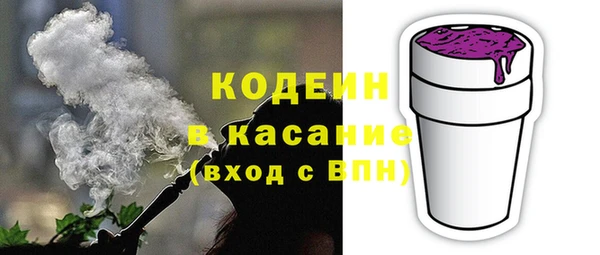 PSILOCYBIN Ельня