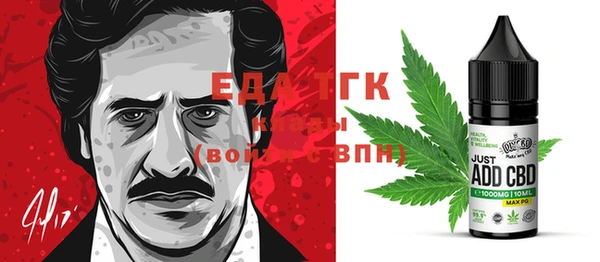 PSILOCYBIN Ельня