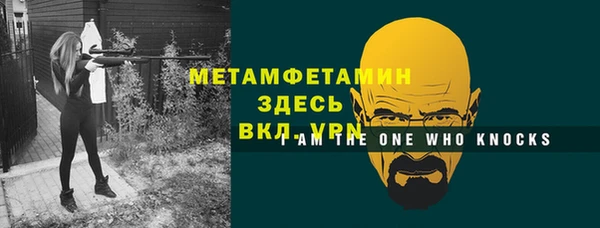 PSILOCYBIN Ельня