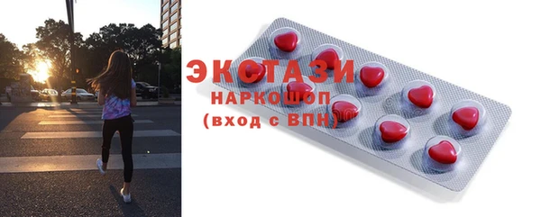 PSILOCYBIN Ельня