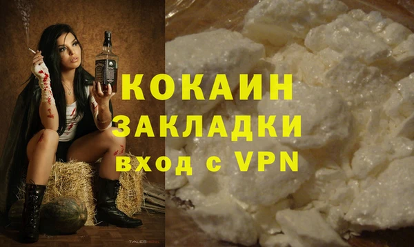 PSILOCYBIN Ельня