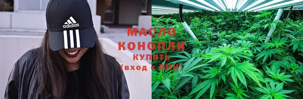 PSILOCYBIN Ельня