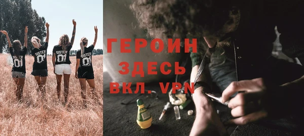 PSILOCYBIN Ельня