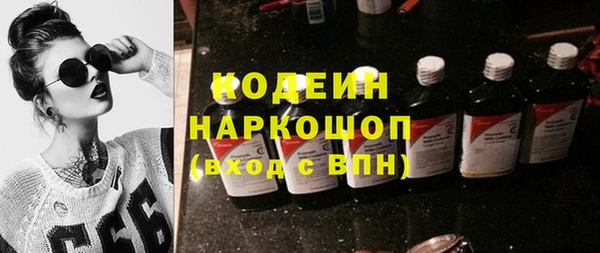 PSILOCYBIN Ельня